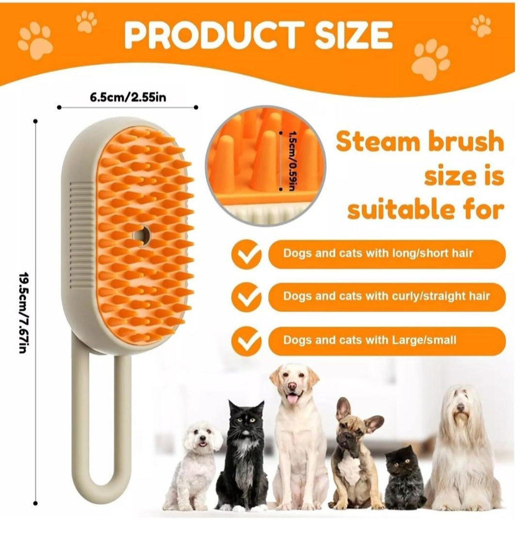 Steam brush